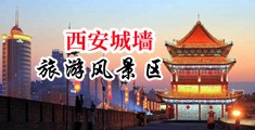 男人大鸡巴插入女人逼的网站中国陕西-西安城墙旅游风景区